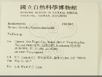 登錄號:F0032082藏品圖，第2張