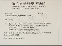 木層孔菌屬藏品圖，第2張