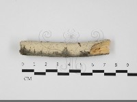 登錄號:F0032085藏品圖，第1張