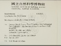 登錄號:F0032089藏品圖，第2張