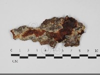 登錄號:F0032089藏品圖，第1張