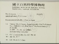 登錄號:F0032090藏品圖，第2張