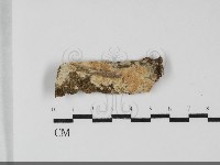 登錄號:F0032091藏品圖，第1張