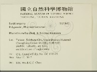 登錄號:F0032092藏品圖，第2張