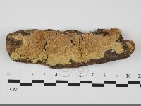 登錄號:F0032092藏品圖，第1張