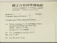 登錄號:F0032093藏品圖，第2張