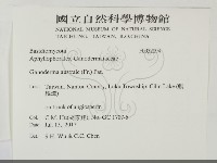 登錄號:F0032094藏品圖，第2張