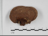 登錄號:F0032094藏品圖，第1張