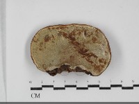 登錄號:F0032094藏品圖，第3張