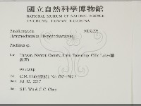 木層孔菌屬藏品圖，第2張