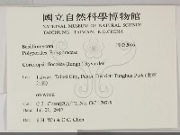 登錄號:F0032096藏品圖，第2張