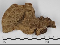 登錄號:F0032096藏品圖，第3張