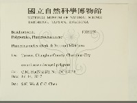 登錄號:F0032097藏品圖，第2張