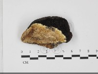 登錄號:F0032097藏品圖，第3張