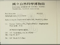 登錄號:F0032100藏品圖，第2張