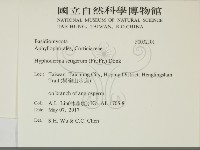 剛毛絲皮菌藏品圖，第2張