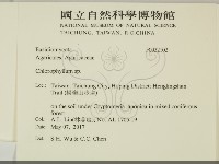 登錄號:F0032102藏品圖，第2張