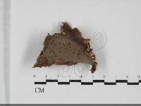 登錄號:F0032103藏品圖，第1張