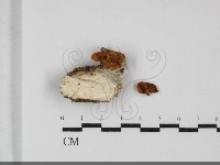 登錄號:F0032104藏品圖，第1張
