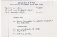 登錄號:F0032105藏品圖，第3張