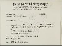 登錄號:F0032111藏品圖，第2張