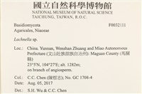 登錄號:F0032111藏品圖，第4張
