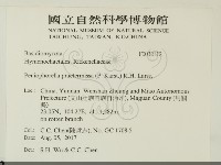 登錄號:F0032112藏品圖，第2張