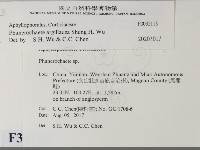 登錄號:F0032113藏品圖，第2張