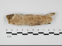 登錄號:F0032115藏品圖，第1張