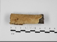 登錄號:F0032116藏品圖，第1張