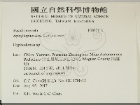 絲齒菌屬藏品圖，第2張