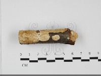 登錄號:F0032120藏品圖，第1張