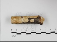 登錄號:F0032120藏品圖，第3張