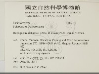 登錄號:F0032121藏品圖，第2張