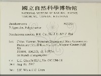 登錄號:F0032124藏品圖，第2張