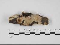 登錄號:F0032124藏品圖，第1張