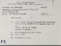 登錄號:F0032125藏品圖，第2張