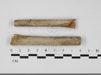 登錄號:F0032128藏品圖，第1張