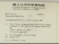 登錄號:F0032129藏品圖，第2張