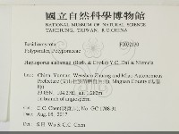 登錄號:F0032130藏品圖，第2張