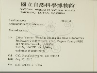 盤革菌屬藏品圖，第2張