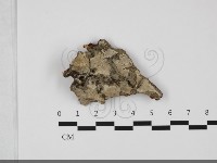 登錄號:F0032132藏品圖，第1張