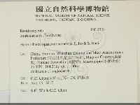 登錄號:F0032134藏品圖，第2張