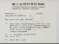 登錄號:F0032135藏品圖，第2張