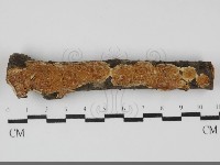 登錄號:F0032135藏品圖，第1張