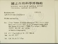 登錄號:F0032136藏品圖，第2張