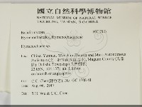 刺革菌屬藏品圖，第2張