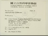 擬射脈菌屬藏品圖，第2張