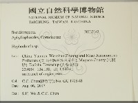 絲齒菌屬藏品圖，第2張