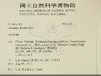 登錄號:F0032150藏品圖，第2張